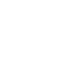 icon medal