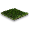 sports synthetic turf DashXD sportsgrass