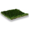 sports synthetic turf MaxXD sportsgrass