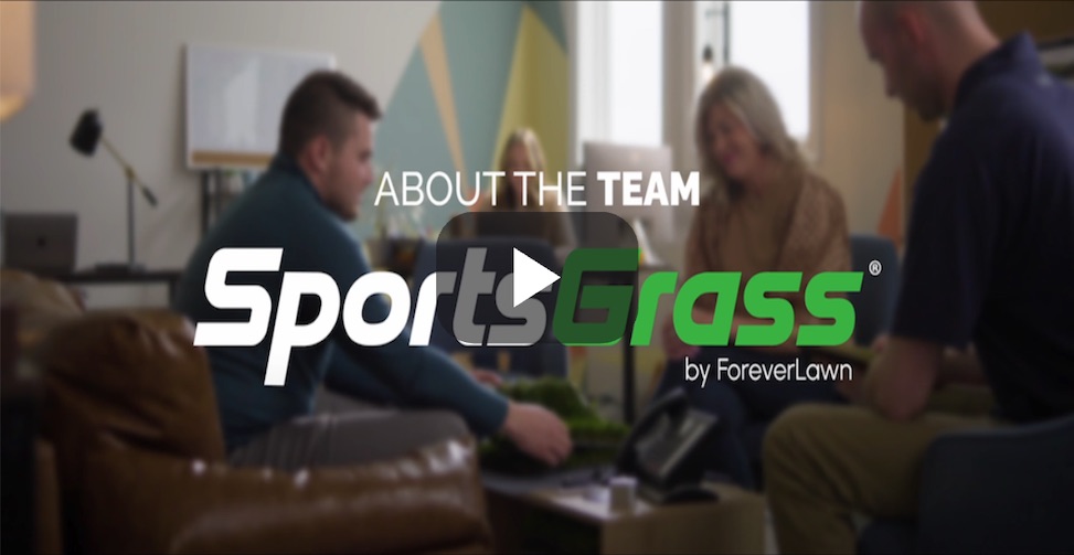 artificial turf field about the team thumbnail sportsgrass