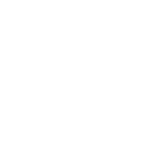 Columbus Crew Logo