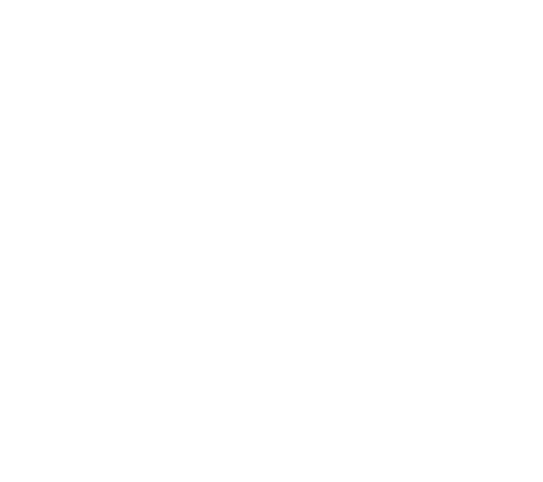 IMG Academy Logo